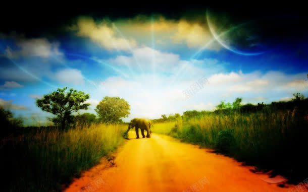 行走在星光上的大象jpg设计背景_新图网 https://ixintu.com 大象 星光 行走