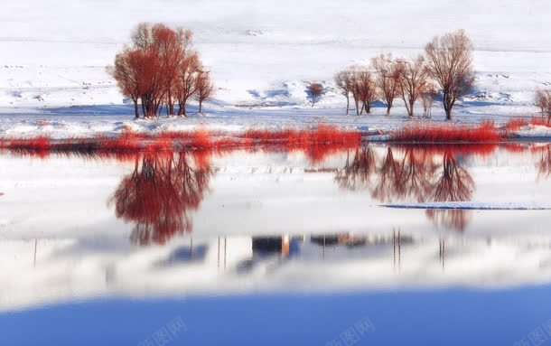 创意红色梅花树林湖面jpg设计背景_新图网 https://ixintu.com 创意 树林 梅花 湖面 红色