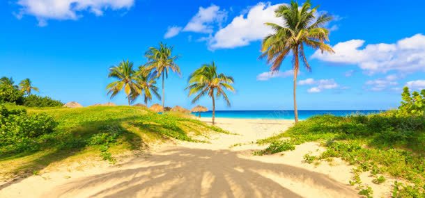 海边沙滩椰树背景jpg设计背景_新图网 https://ixintu.com 大海 椰树 沙滩 自然风光 蓝天白云