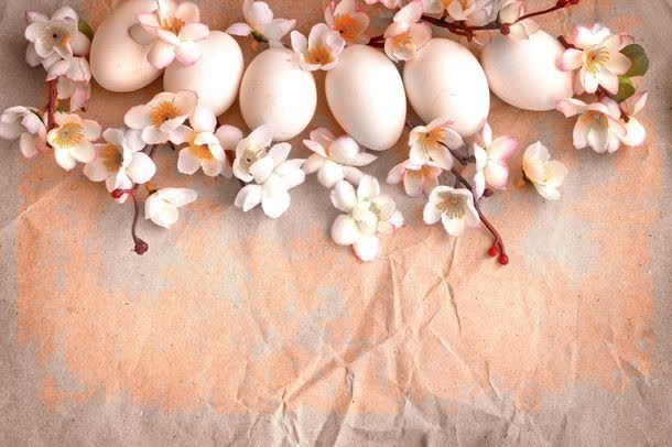 纸面上的鸡蛋和鲜花jpg设计背景_新图网 https://ixintu.com 其它类别 图片素材 纸 纸板 纸面上的鸡蛋和鲜花图片 纸面上的鸡蛋和鲜花图片素材下载 背景花边 花朵 鲜花 鸡蛋