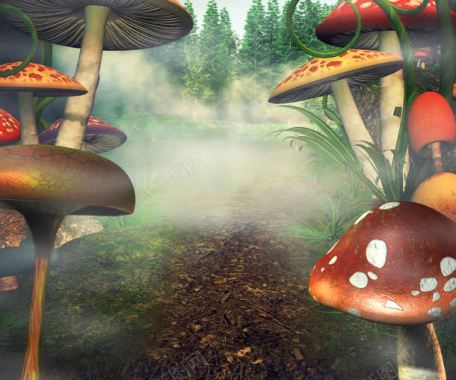 森林中的蘑菇背景