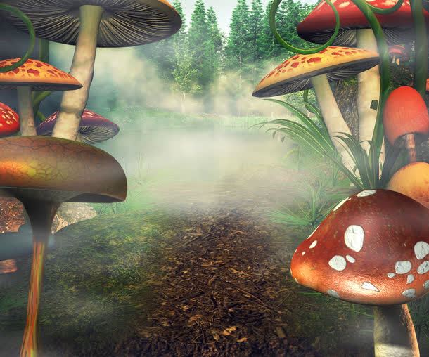 森林中的蘑菇jpg设计背景_新图网 https://ixintu.com 其它类别 图片素材 树木 森林 森林中的蘑菇图片 森林中的蘑菇图片素材下载 植物 背景图案 背景花边 蘑菇
