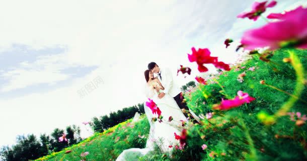 天空绿色花朵情侣jpg设计背景_新图网 https://ixintu.com 天空 情侣 绿色 花朵