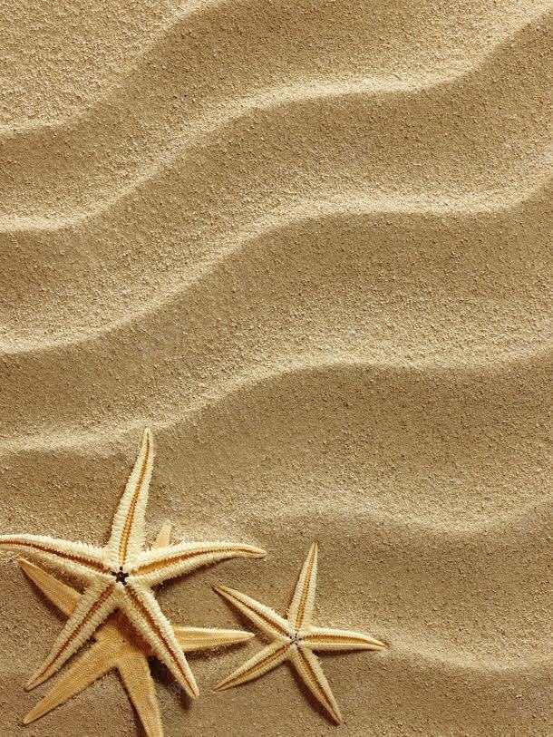 沙滩上的海星jpg设计背景_新图网 https://ixintu.com 其它类别 图片素材 沙滩 沙滩上的海星图片 沙滩上的海星图片素材下载 波浪 海星 海边 背景花边