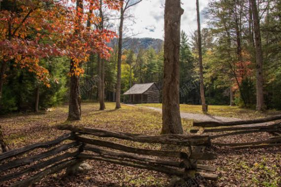 森林小屋篱笆秋天背景