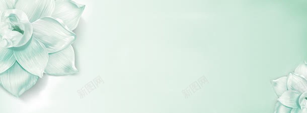 美丽的banner背景