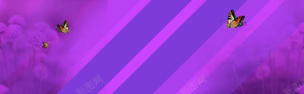紫色淘宝海报背景bannerjpg设计背景_新图网 https://ixintu.com 海报背景 简单 紫色 背景素材 蝴蝶