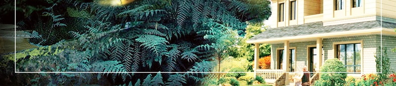 亲近大自然房地产psd设计背景_新图网 https://ixintu.com 亲近大自然 健康生活地产 分层文件 平面设计 把家种在大森林 源文件 环保地产 绿色地产 绿色生活地产 自然地产 高清