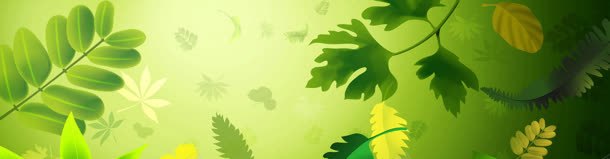 树叶banner创意jpg设计背景_新图网 https://ixintu.com 小清新 环保 纯色 色彩 风景