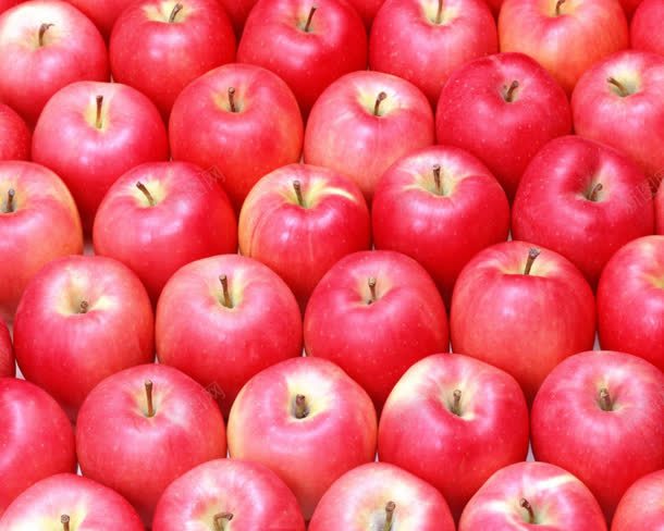 红色苹果水果新鲜jpg设计背景_新图网 https://ixintu.com 新鲜 水果 红色 苹果