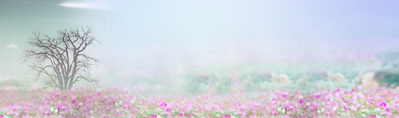 淘宝背景psd_新图网 https://ixintu.com 居家 摄影 浪漫 海报banner 风景