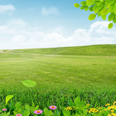 绿色清新草地背景摄影图片