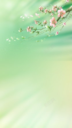 春光灿烂浪漫浪漫春光桃花源高清图片