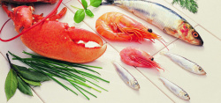 鱼虾海报美食肉类海鲜鱼虾蟹食品食物美味淘宝背景高清图片