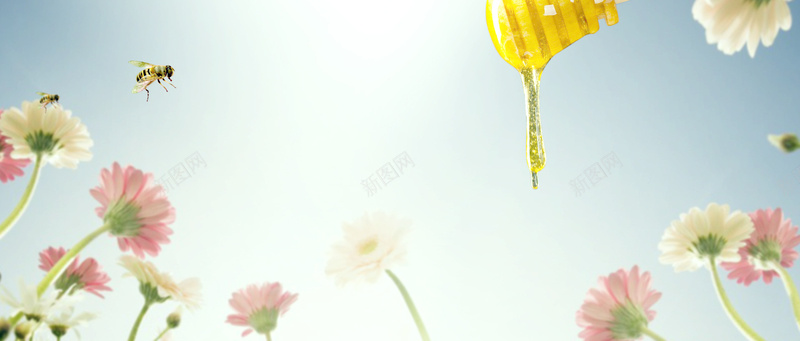 淘宝bunnertaobaopsd设计背景_新图网 https://ixintu.com 海报banner 花园 蜂蜜 蜜蜂 采蜜