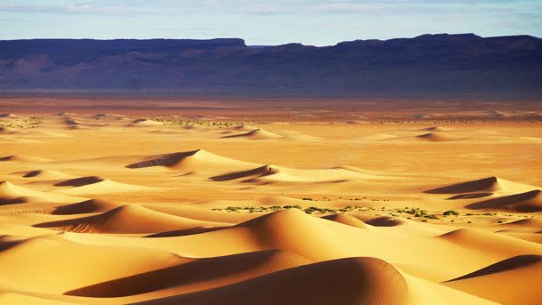 黄色沙漠沙丘干旱jpg设计背景_新图网 https://ixintu.com 土地干燥 干旱 沙丘 沙漠 黄色