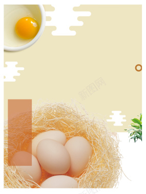 简约农家鸡蛋生态食品宣传海报背景psd背景