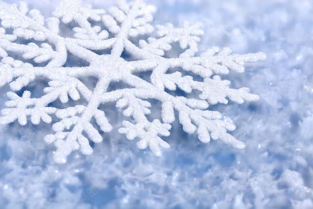 雪地上的雪花背景图片免费下载 素材0qvepvjvv 新图网 雪地上的雪花背景图片免费下载 素材0qvepvjvv 新图网