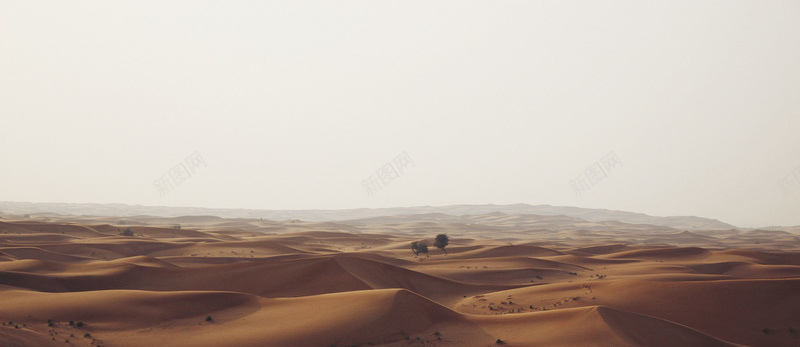 海螺与沙子图片沙漠背景摄影图片