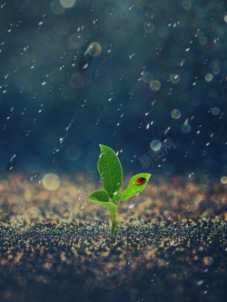 梅雨时节图片免费下载 梅雨时节素材 梅雨时节模板 新图网