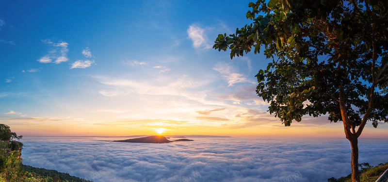 朝阳云海天空树木背景图摄影图片