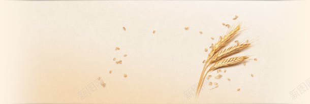 黄色麦穗秋季丰收jpg设计背景_新图网 https://ixintu.com 丰收 秋季 麦穗 黄色