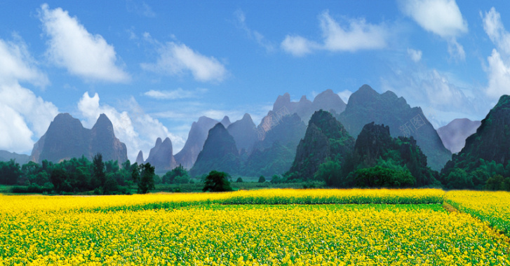 黄色油菜花盛开山区平原背景背景