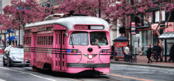 粉色公交车旅行风景背景高清图片
