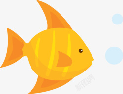 橙色泡泡海洋生物吐泡泡的小鱼高清图片