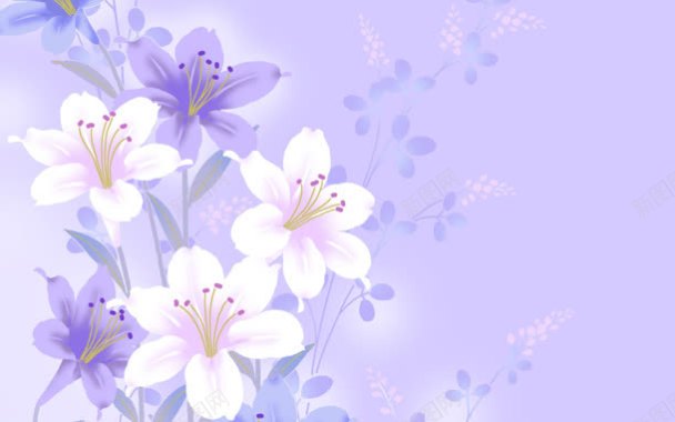 紫色花朵淡雅壁纸背景