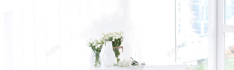 白色植物春日房间背景背景