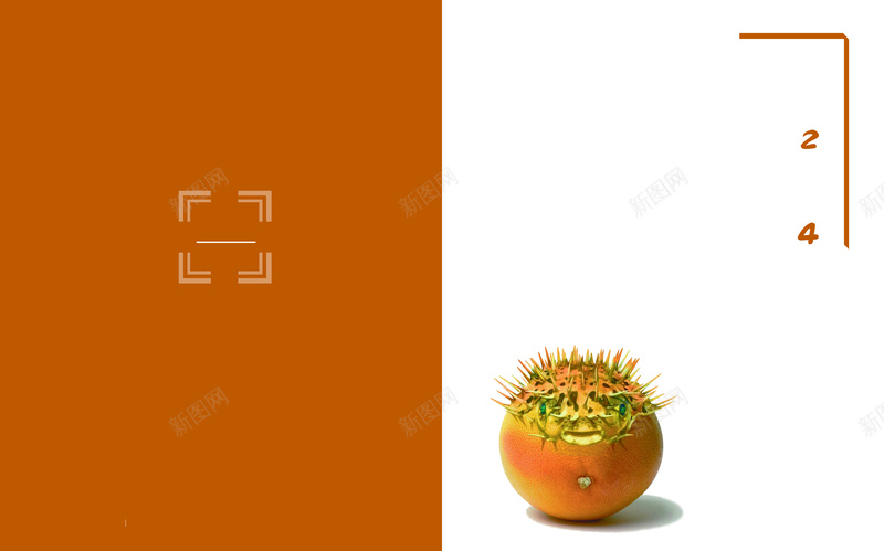 橘色植物线框画册背景图psd_新图网 https://ixintu.com 开心 植物 橘色 纹理 质感