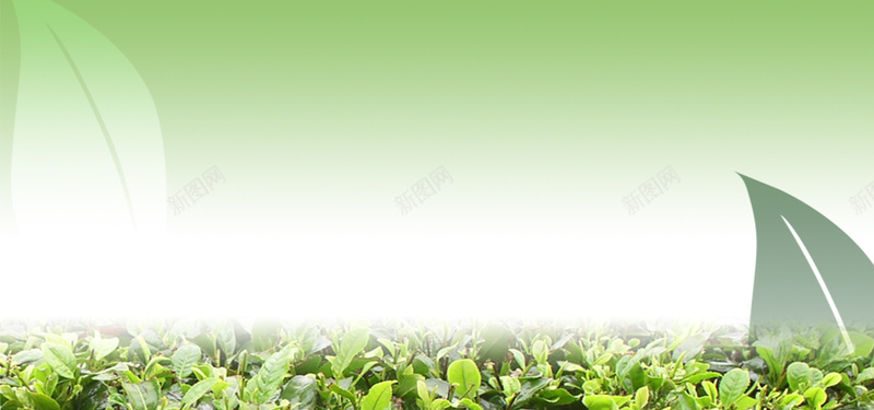 绿色唯美背景图psd_新图网 https://ixintu.com 摄影 植物 海报banner 清新 种植 绿叶 风景