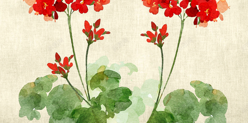 中国风手绘花朵背景psd设计背景_新图网 https://ixintu.com 中国风 古典 手绘 素材 纸质 绿叶 背景 花朵