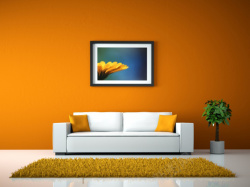 白色沙发椅暖橙色调家居背景图高清图片