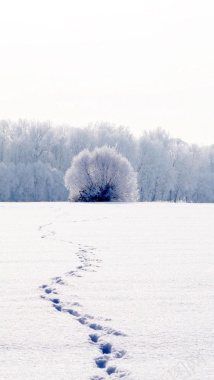 脚印冬季雪景H5背景图背景