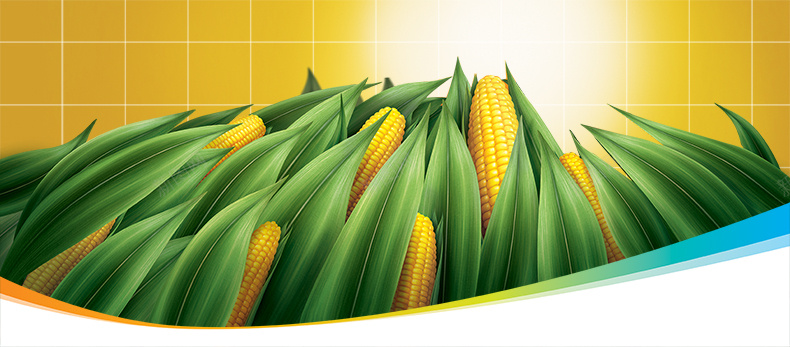 玉米油广告背景背景