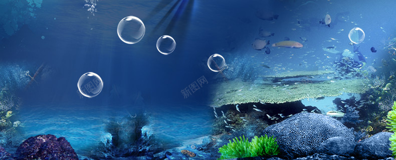 海底清新岩石珊瑚气泡详情页海报背景背景