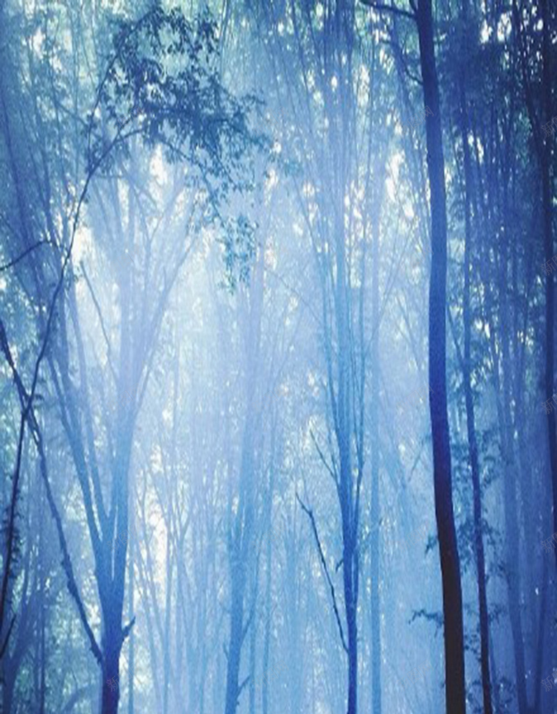 神秘蓝色森林背景图jpg_新图网 https://ixintu.com H5背景图 宁静 幽静 摄影 森林 神秘 蓝色 风景