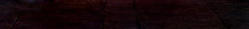 唯美童话可爱狗狗梦幻背景psd设计背景_新图网 https://ixintu.com 仙境 卡通 夜晚 手绘 梦幻背景 狗狗 童话世界 童话背景 童趣 绿叶 绿树 花草 路灯