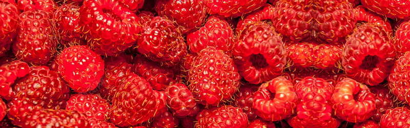 红色护肤品海报红色水果杨梅桑葚背景摄影图片