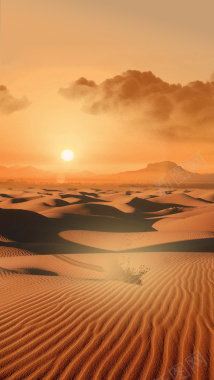 大气沙漠风景H5背景背景
