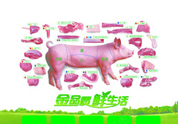 猪肉分割图展板猪肉结构鲜肉海报背景高清图片