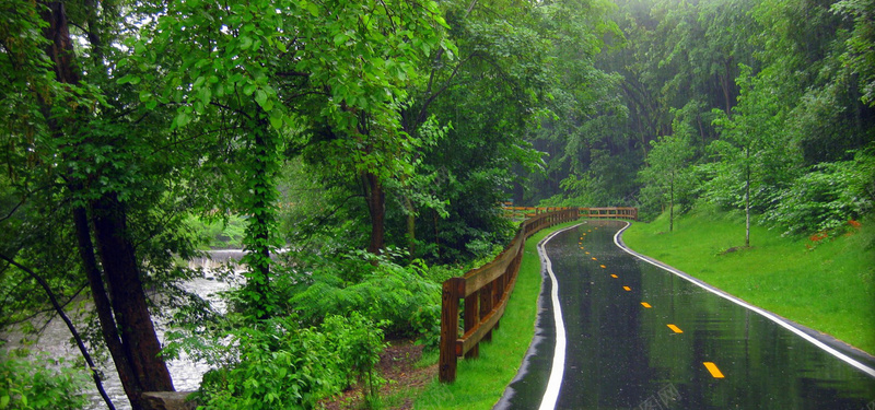 雨中的公园jpg_新图网 https://ixintu.com 下雨 公园 公路 摄影 树林 植物 海报banner 自然风光 道路 风景