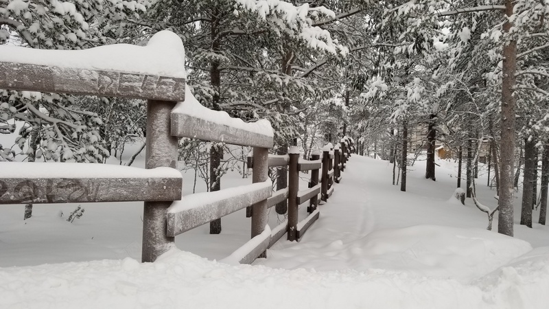 自然风光野外雪景jpg设计背景_新图网 https://ixintu.com 国外 自然 野外 雪景