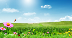 春季自然风景绿色的草地背景高清图片