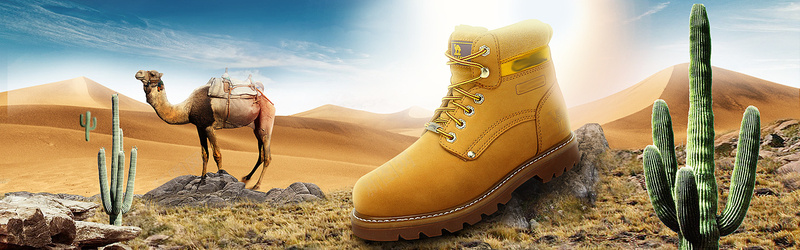 沙漠鞋子海报psd设计背景_新图网 https://ixintu.com 仙人掌 沙漠 沙漠海报 鞋子