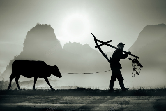牛水滴扛着爬犁牵着牛的农夫摄影图片