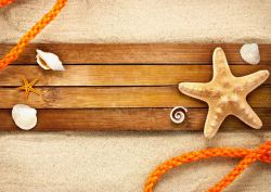 高清贝壳沙滩木板贝壳海星高清图片