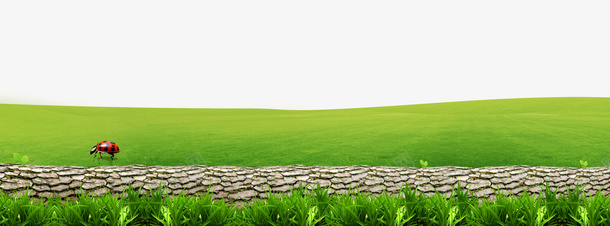 绿色草地树干装饰边框psd设计背景_新图网 https://ixintu.com 免抠PNG 小草 树干 绿色 草地 装饰边框